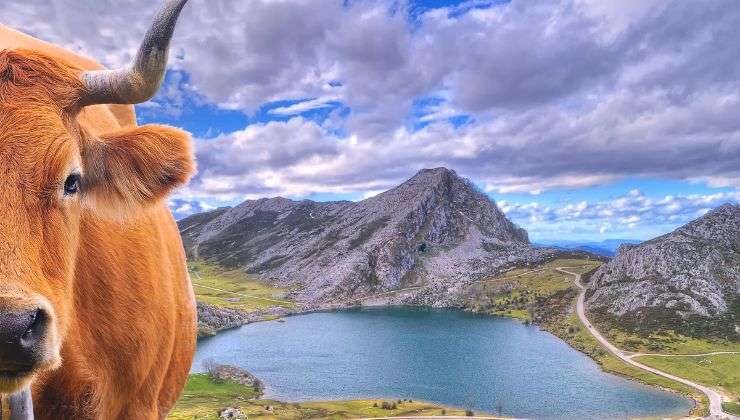 Planifica tu ruta y recorre Asturias en coche